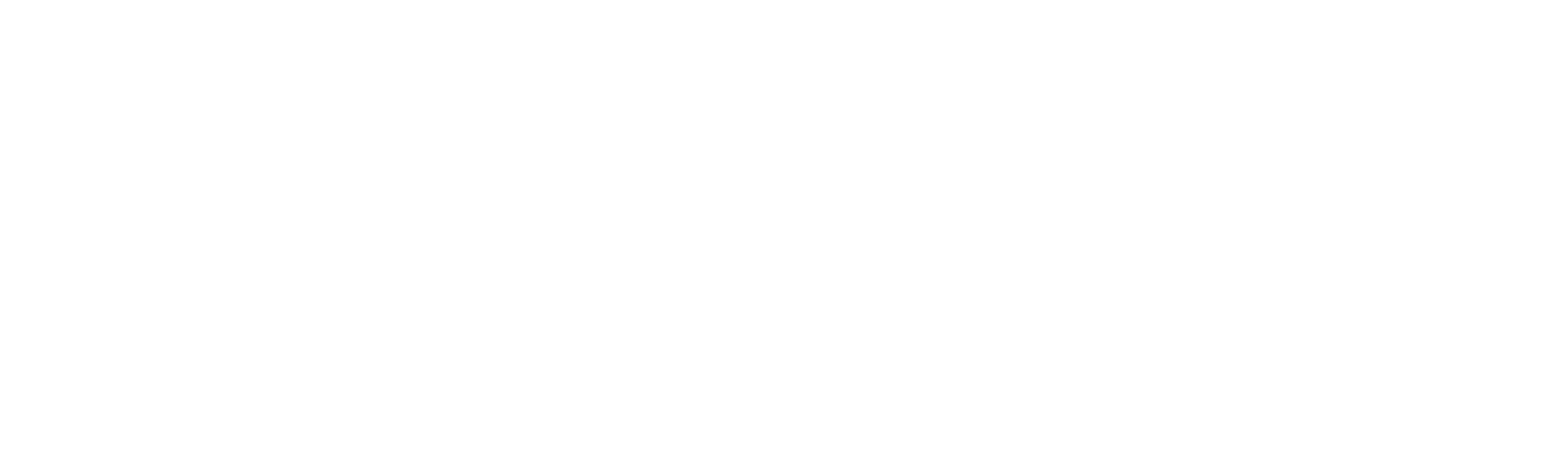 Strange Birds Modular